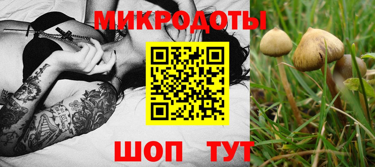 Псилоцибиновые грибы прущие грибы Ялуторовск